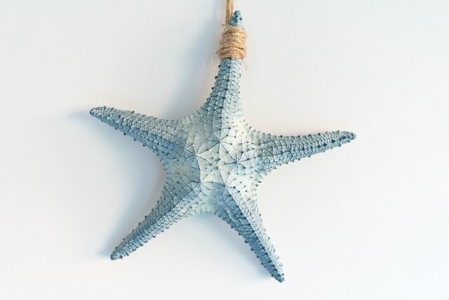 Ferienwohnung in Bosau - Haus Schwanensee Maritimes Ferienappartement am Pl&ouml;ner See - Bild 8