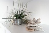 Ferienwohnung in Sierksdorf - Seepferdchen Wulkje - Bild 22