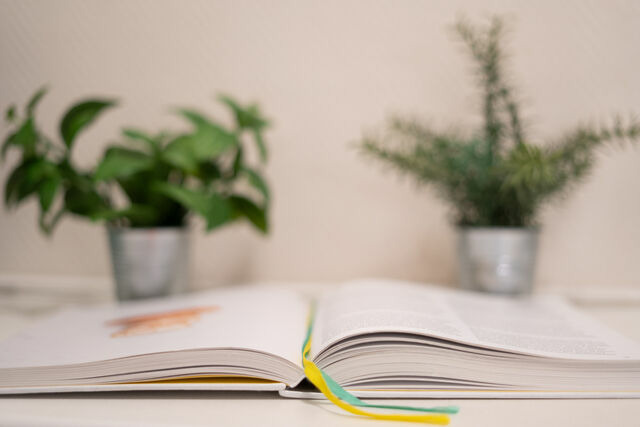 Ferienwohnung in Gr&ouml;mitz - F&uuml;rstenhof Wohnung 5 - Bild 25