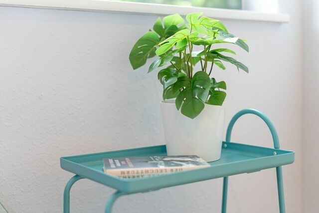 Ferienwohnung in Malente - Zuckersnuut - Bild 19