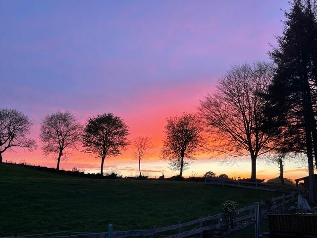 Ferienwohnung in Ascheffel - Wilsterberg FeWo "die Gro&szlig;e" - Bild 7