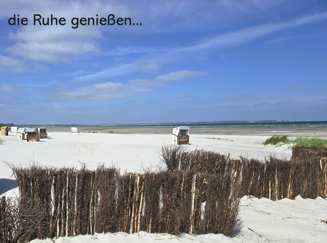 Ferienwohnung in Wendtorf - K&uuml;stenschwalbe - Bild 11