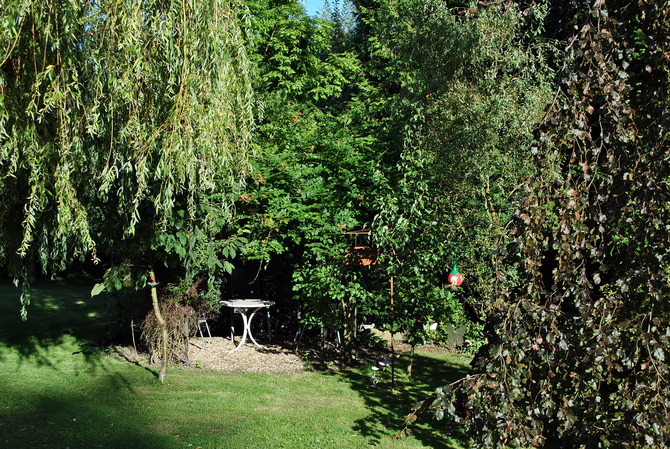 Ferienwohnung in Hageb&ouml;k - Ferienwohnung Thiedmann - Bild 13