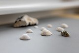 Ferienwohnung in Sch&ouml;nberger Strand - Strandkorb - Bild 7