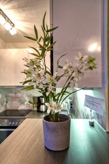 Ferienwohnung in Heiligenhafen - Ferienpark - Haus C, App. 0C0208 - Strandsehnsucht - Bild 15