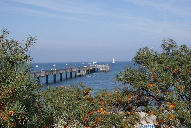 Ferienwohnung in Insel Poel - FeWo Ultima Poel an der Ostsee - ABC367 - nur Ferieng&auml;ste! - Bild 19